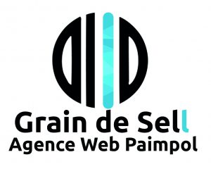 logo de l'agence web grain de sell paimpol