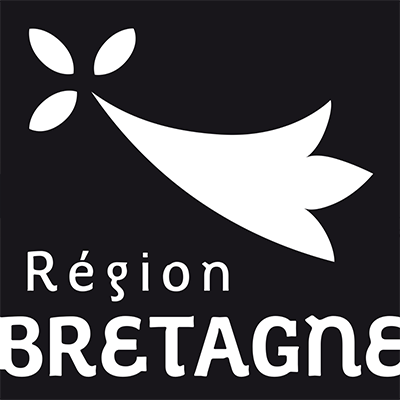 la région bretagne partenaire premium du festival des vieux gréements