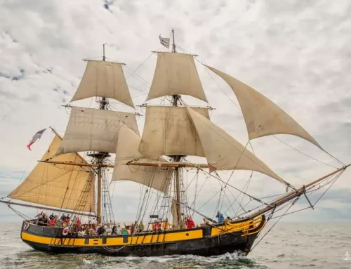 Le festival vous propose de naviguer sur le Phoenix